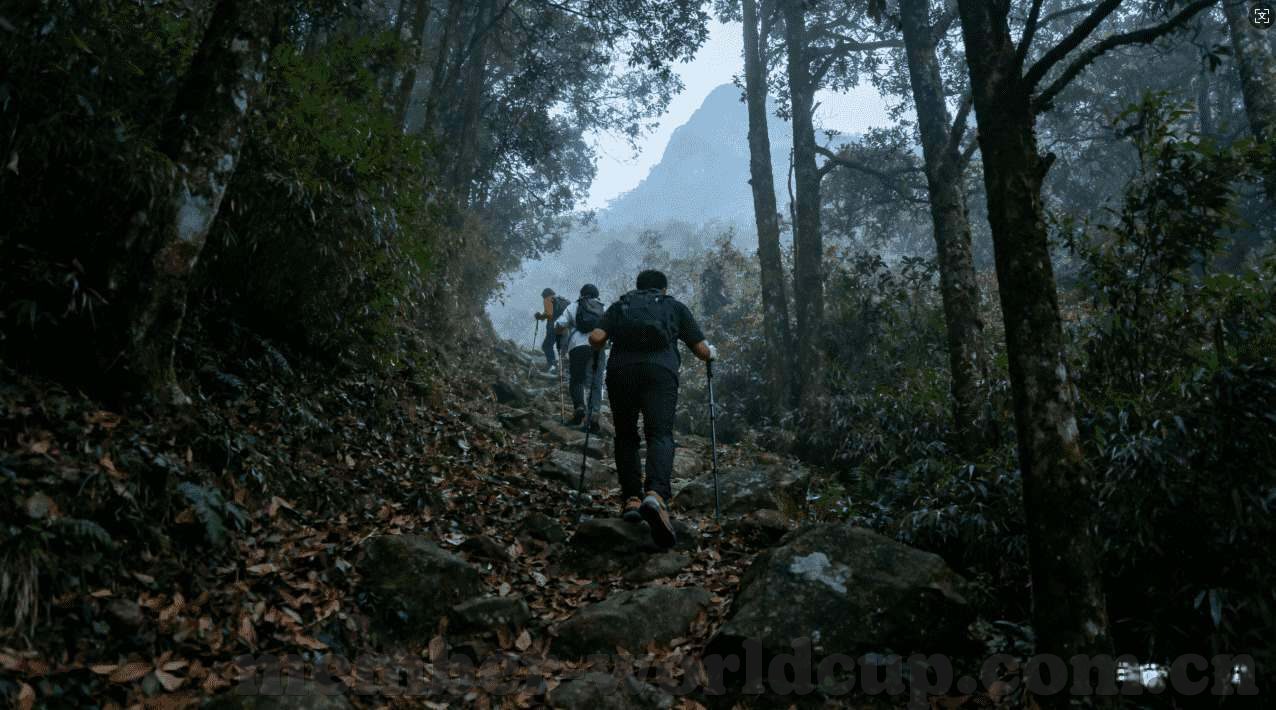 世界杯体彩咋买-世界杯体彩购买指南，解锁你的足球彩票之旅